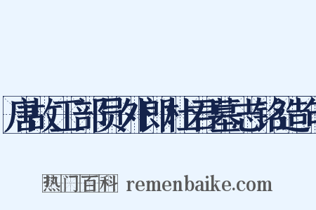 唐故工部员外郎杜君墓志铭造句是什么意思的图片